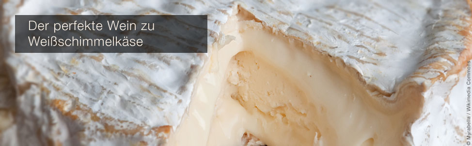 der perfekte wein zu weisschimmelk&auml;se