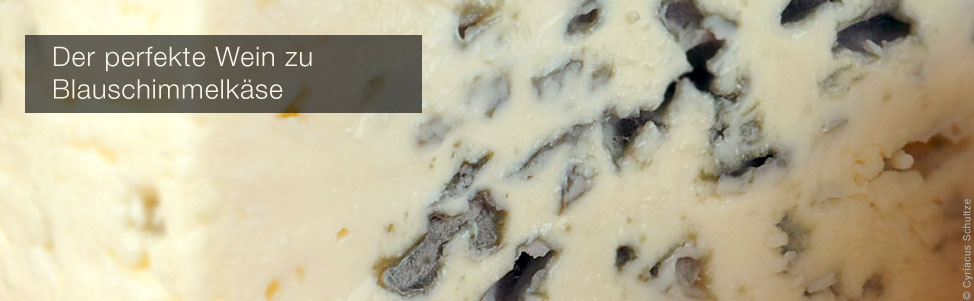 welcher k&auml;se zu blauschimmel