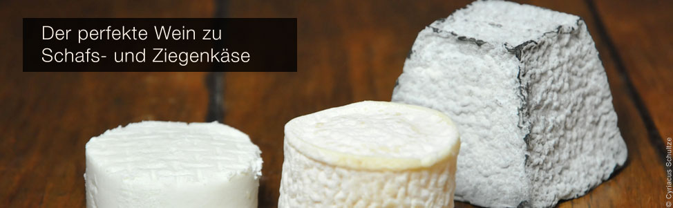 welcher wein zu ziegenk&auml;se